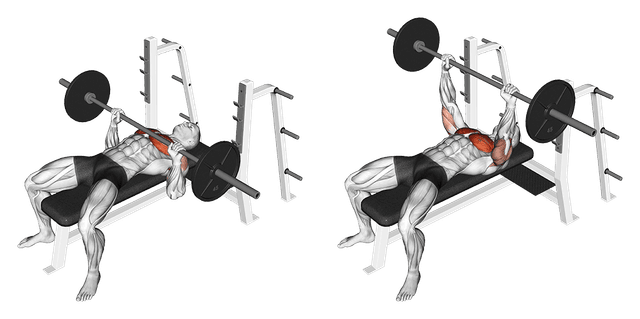 Développé couché à la barre Développé couché à la barre — exercice musculation