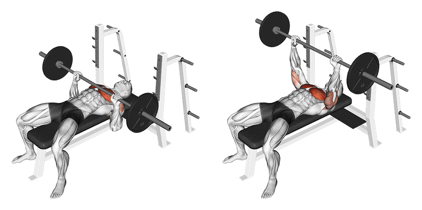 Développé couché à la barre Développé couché à la barre — illustration de l'exercice