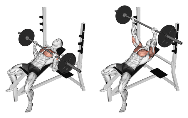 Développé couché incliné à la barre Développé couché incliné à la barre — exercice musculation