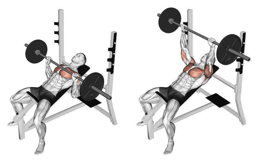 Développé couché incliné à la barre Développé couché incliné à la barre — illustration de l'exercice