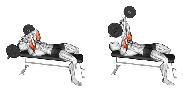 Barre au front Barre au front — exercice musculation