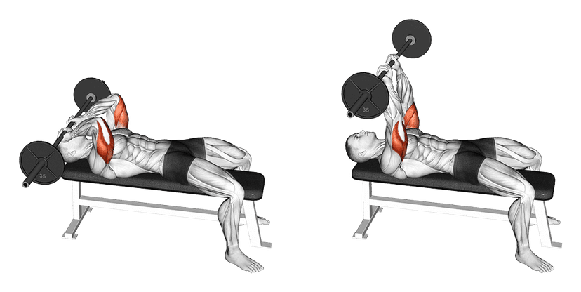 Barre au front Barre au front — illustration de l'exercice