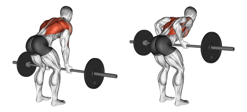 Rowing barre Rowing barre — illustration de l'exercice