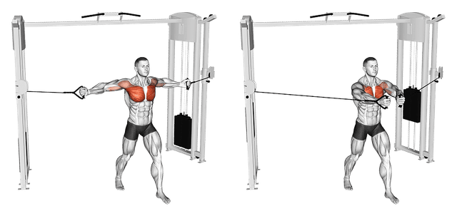 Écarté à la poulie vis-à-vis Écarté à la poulie vis-à-vis — exercice musculation