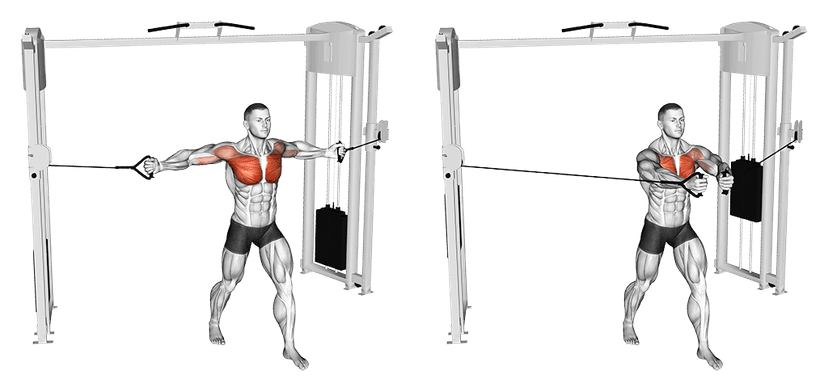 Écarté à la poulie vis-à-vis Écarté à la poulie vis-à-vis — illustration de l'exercice