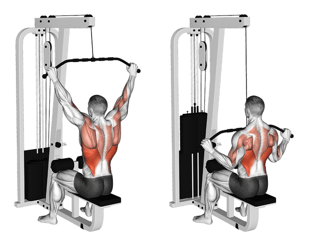 Tirage poitrine Tirage poitrine — exercice musculation
