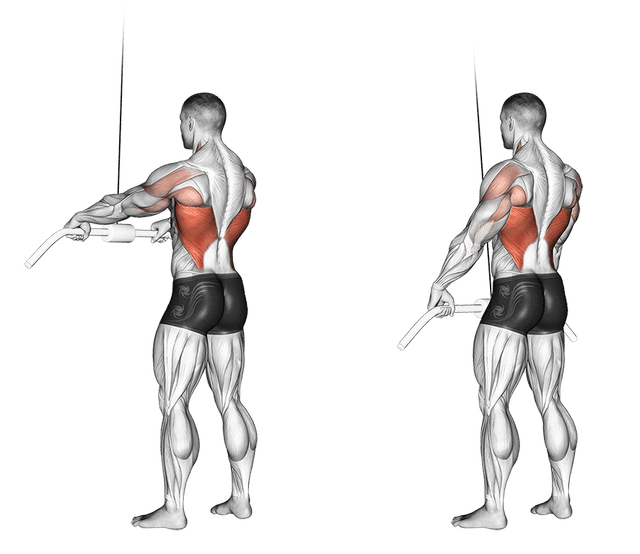 Pull over debout à la poulie haute Pull over debout à la poulie haute — exercice musculation