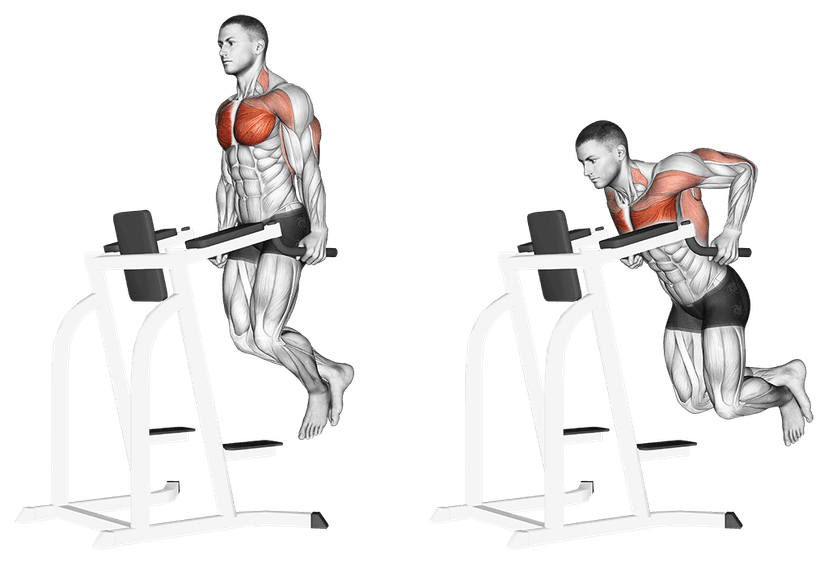 Dips Dips — illustration de l'exercice