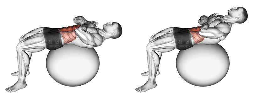 Stability Ball Crunch Stability Ball Crunch — illustration de l'exercice