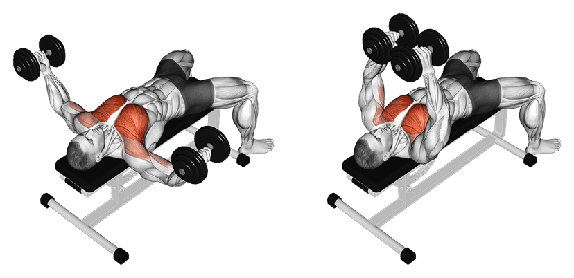 Écarté couché aux haltères Écarté couché aux haltères — illustration de l'exercice