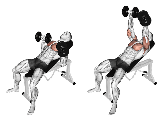 Développé couché incliné aux haltères Développé couché incliné aux haltères — exercice musculation