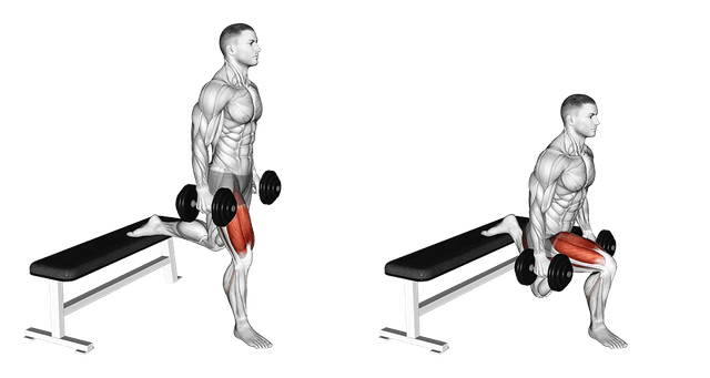 Split squat bulgare Split squat bulgare — exercice musculation