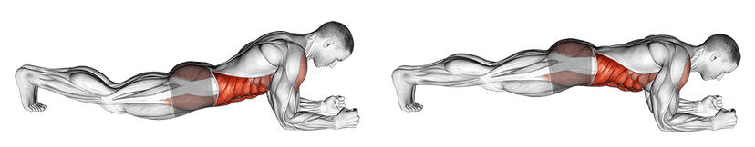 Gainage frontal Gainage frontal — illustration de l'exercice