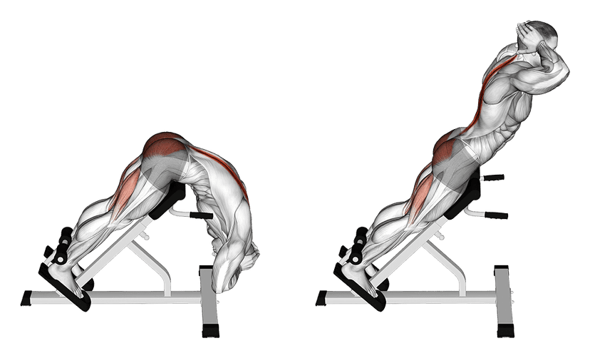 Extensions au banc à lombaires Extensions au banc à lombaires — illustration de l'exercice