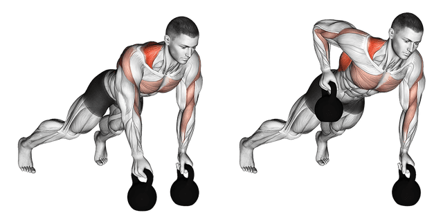 Renegade row Renegade row — exercice musculation