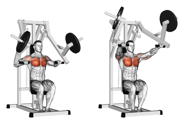 Chest press Chest press — exercice musculation