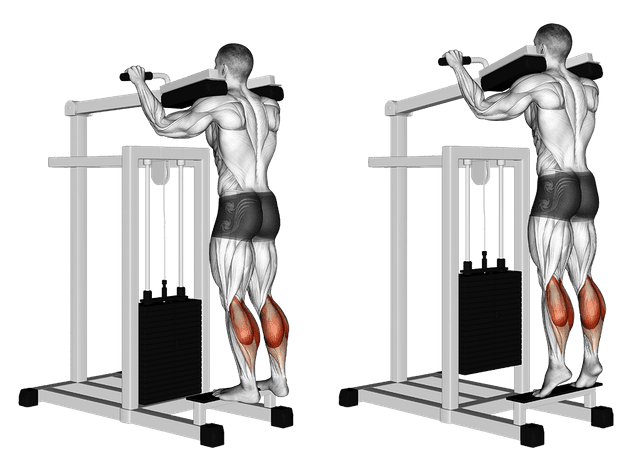 Extension mollets debout à la machine Extension mollets debout à la machine — exercice musculation