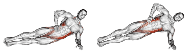 Planche latérale Planche latérale — exercice musculation