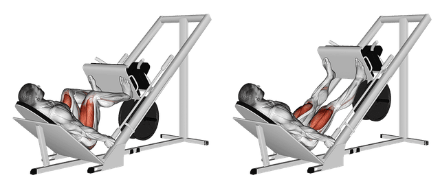 Presse à cuisses inclinée à 45° Presse à cuisses inclinée à 45° — exercice musculation