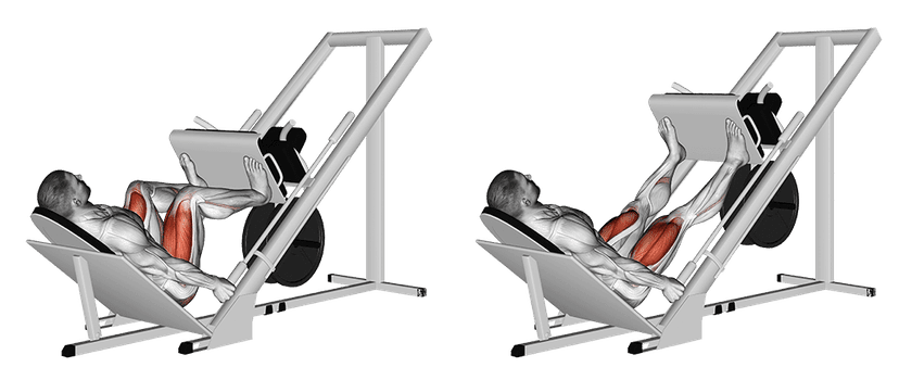 Presse à cuisses inclinée à 45° Presse à cuisses inclinée à 45° — illustration de l'exercice