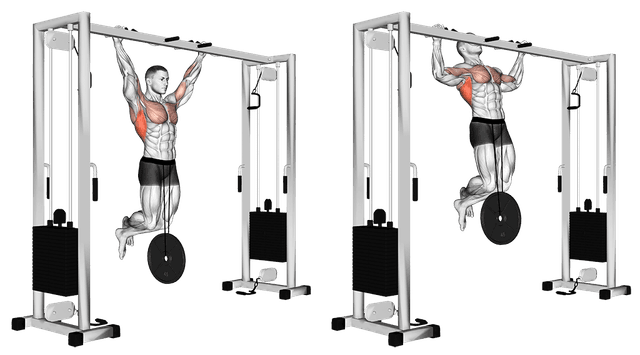 Traction lestée Traction lestée — exercice musculation