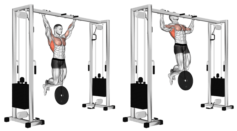 Traction lestée Traction lestée — illustration de l'exercice