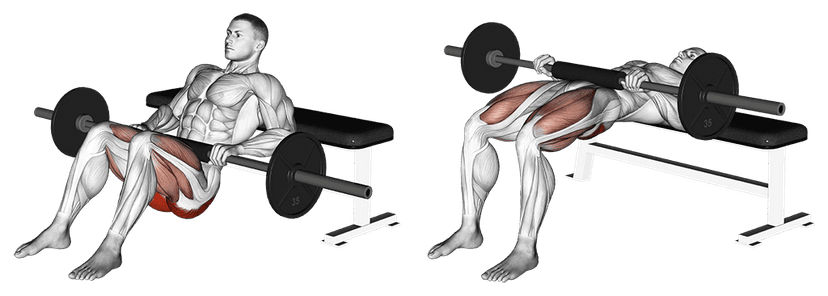 Hip thrust Hip thrust — illustration de l'exercice