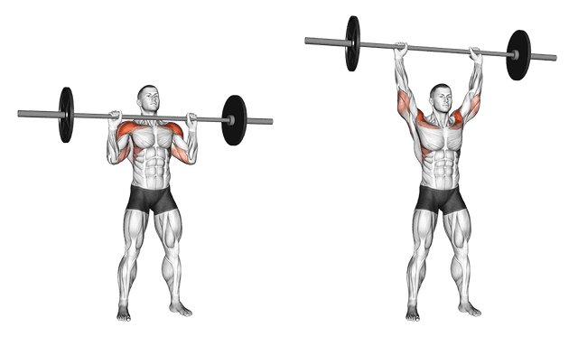 Développé militaire Développé militaire — exercice musculation