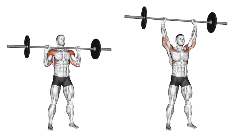 Développé militaire Développé militaire — illustration de l'exercice