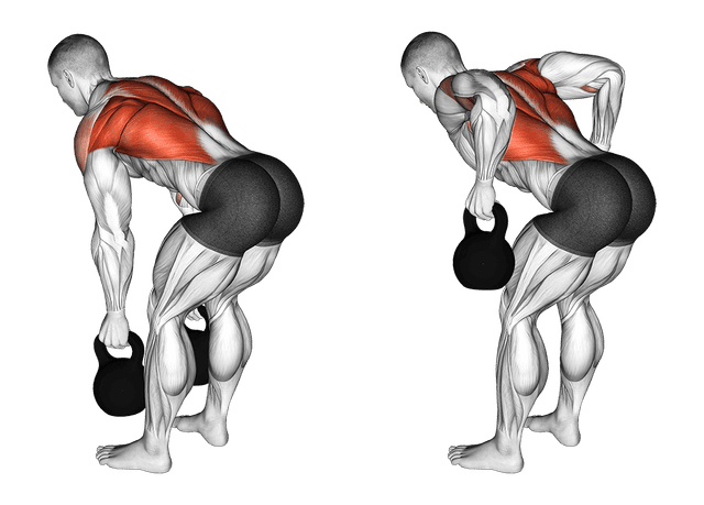 Kettlebell row Kettlebell row — exercice musculation