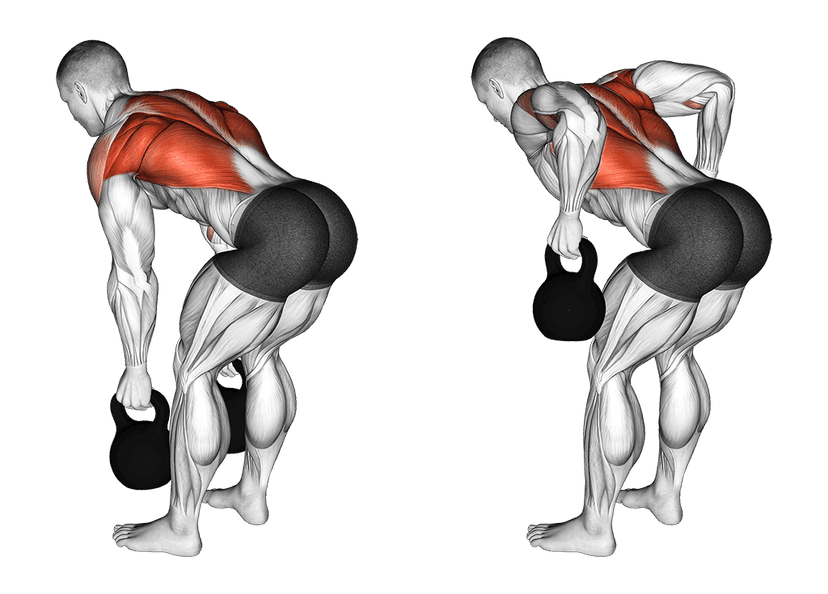 Kettlebell row Kettlebell row — illustration de l'exercice