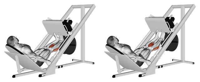 Extension mollets à la presse à cuisses Extension mollets à la presse à cuisses — exercice musculation