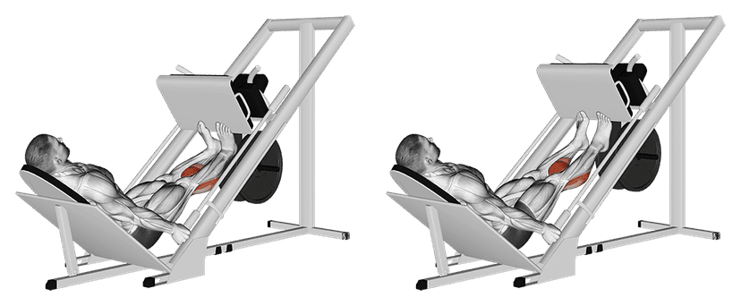 Calf Press on Leg Press Calf Press on Leg Press — illustration de l'exercice