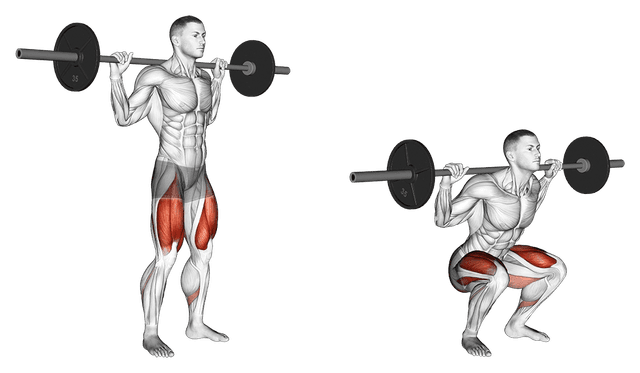 Squat Squat — exercice musculation