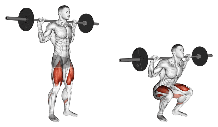 Squat Squat — illustration de l'exercice