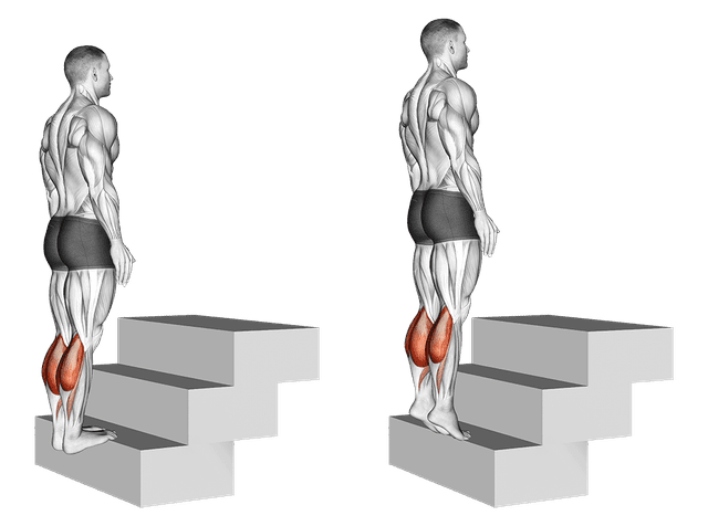 Extensions mollets debout sur escalier Extensions mollets debout sur escalier — exercice musculation