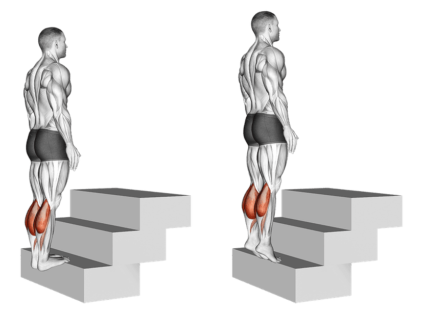 Extensions mollets debout sur escalier Extensions mollets debout sur escalier — illustration de l'exercice