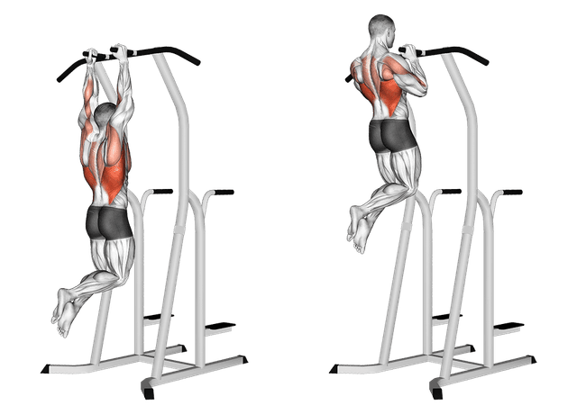 Traction prise neutre Traction prise neutre — exercice musculation