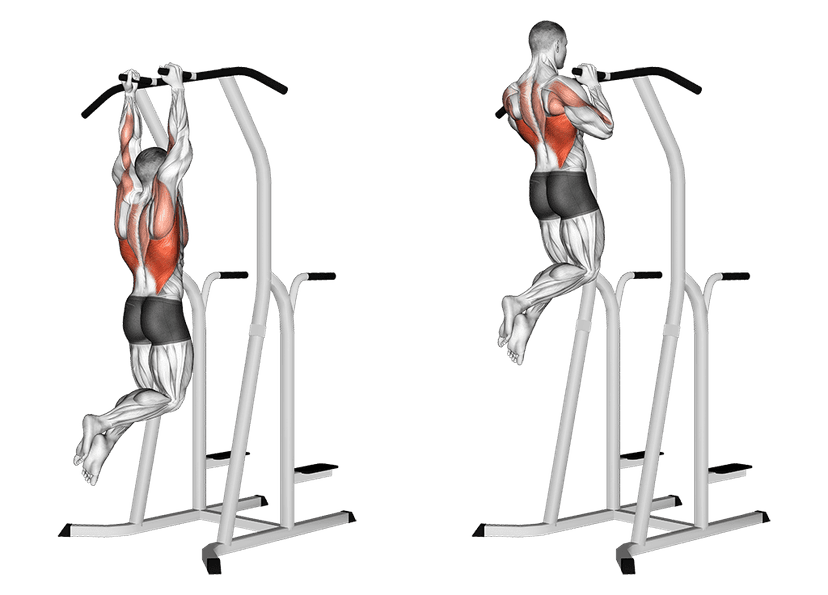 Traction prise neutre Traction prise neutre — illustration de l'exercice