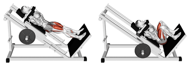 Hack squat Hack squat — exercice musculation