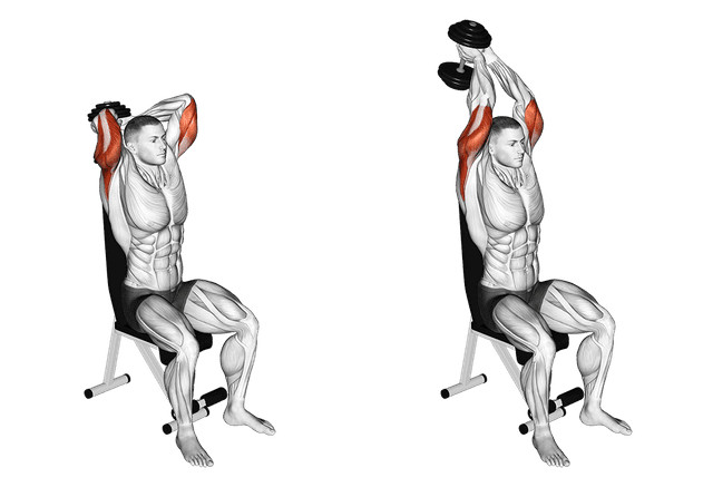 Extension triceps aux haltères Extension triceps aux haltères — exercice musculation