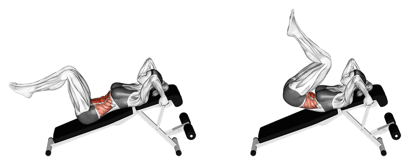Crunch décliné sur un banc Crunch décliné sur un banc — illustration de l'exercice