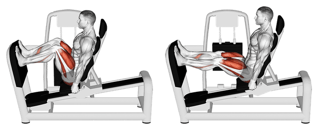 Presse à cuisses horizontale Presse à cuisses horizontale — exercice musculation