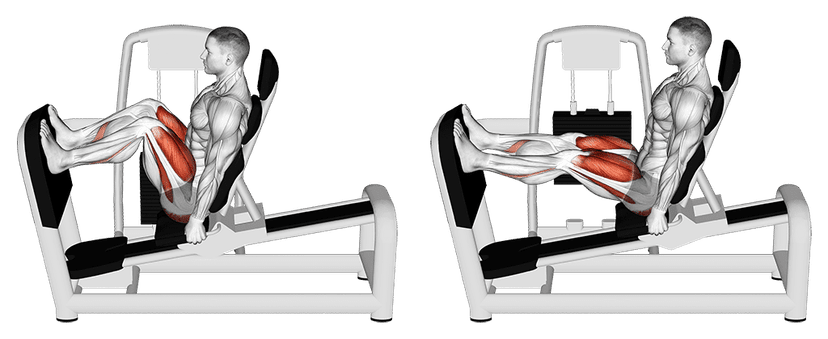 Presse à cuisses horizontale Presse à cuisses horizontale — illustration de l'exercice