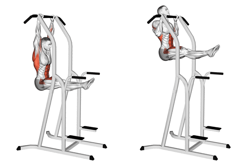 Traction L-sit Traction L-sit — illustration de l'exercice