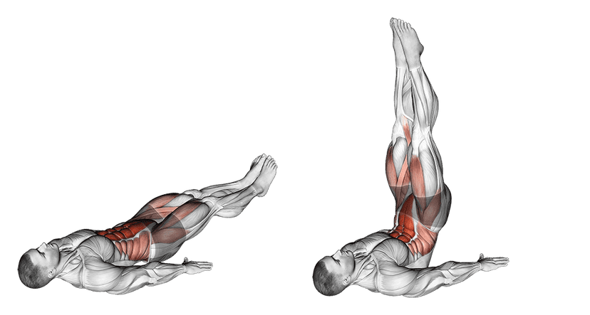 Relevés de jambes tendues au sol Relevés de jambes tendues au sol — illustration de l'exercice