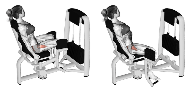 Abducteurs assis à la machine Abducteurs assis à la machine — exercice musculation