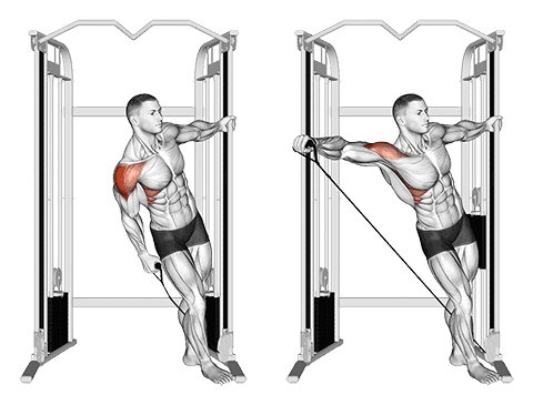 Élévations latérales à la poulie basse Élévations latérales à la poulie basse — exercice musculation