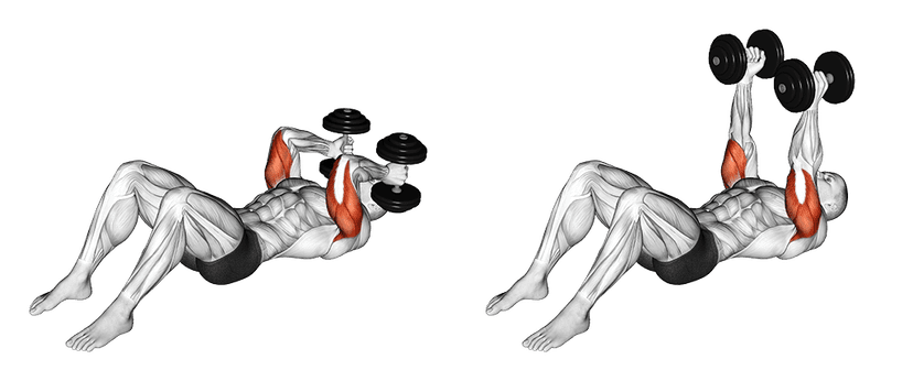 Skull crusher Skull crusher — illustration de l'exercice