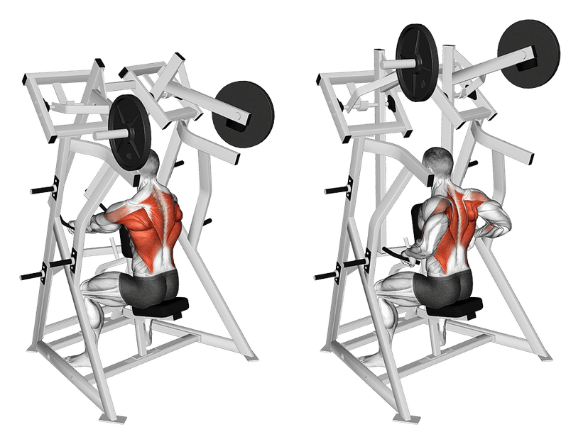 Seated Row Machine Seated Row Machine — illustration de l'exercice